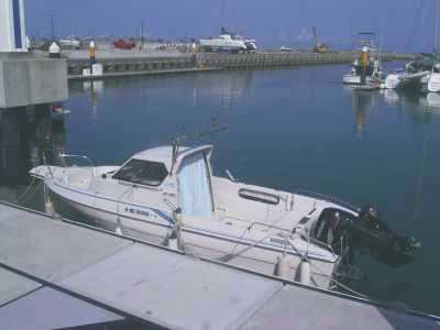 ���̏ォ��