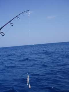 �X�����[������